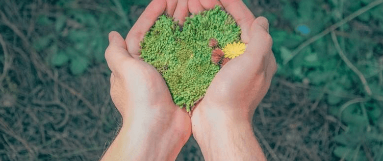 Imprimerie éco-responsable engagée dans une production respectueuse de l’environnement.