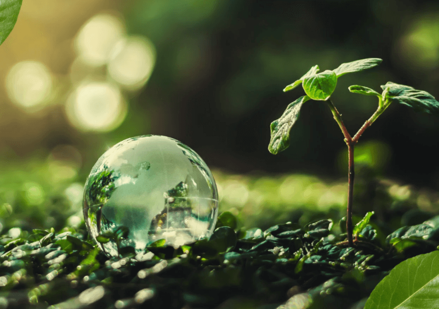 Démarche environnementale d’une imprimerie éco-responsable.