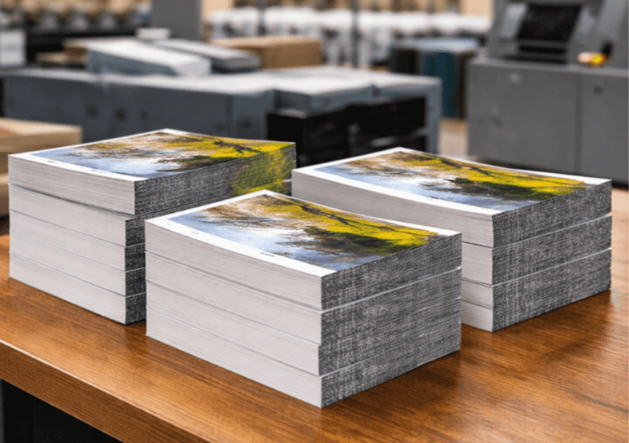 Livres de poche en cours d’impression dans une imprimerie en Île-de-France