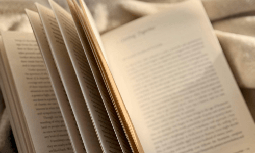 Roman produit en impression numérique par notre imprimerie dédiée aux romans.