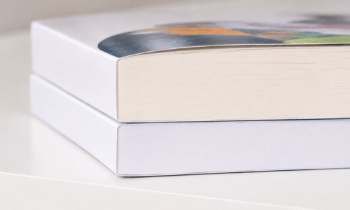 Deux livres imprimés avec reliure dos carré collé